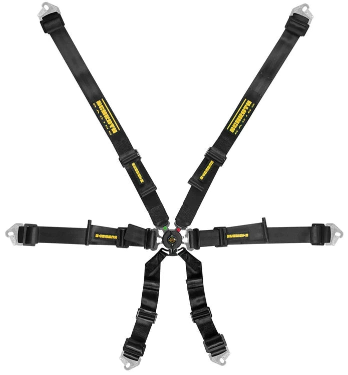 Schroth Flexi 2x2 6pt Harness